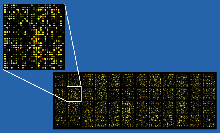 Classifying Microarray Samples
