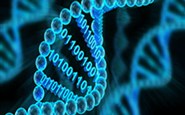 Bioinformatics