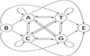 Markov Modeling